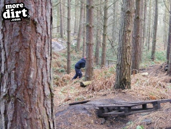 Kinver Freeride Park