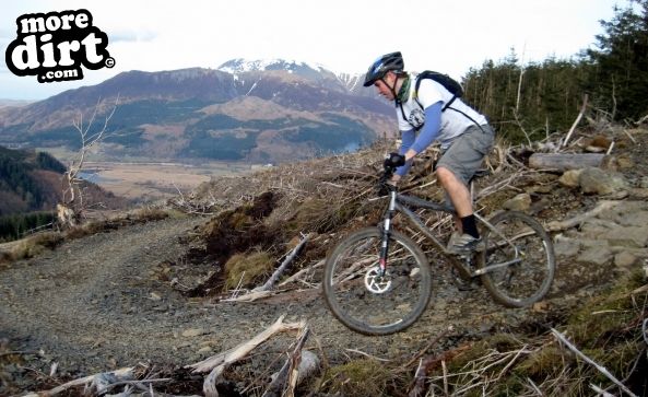 Altura Trail - Whinlatter Forest