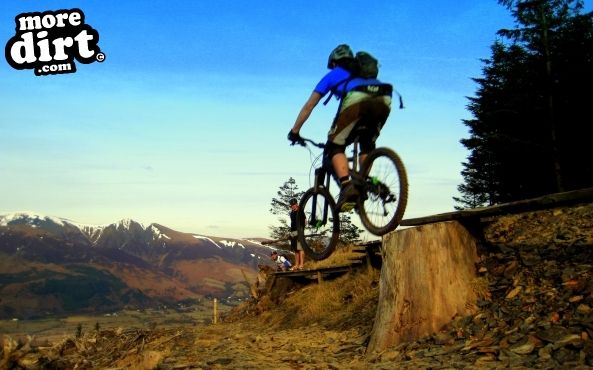 whinlatter mountain bike