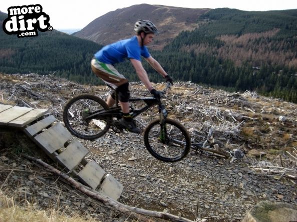 Altura Trail - Whinlatter Forest