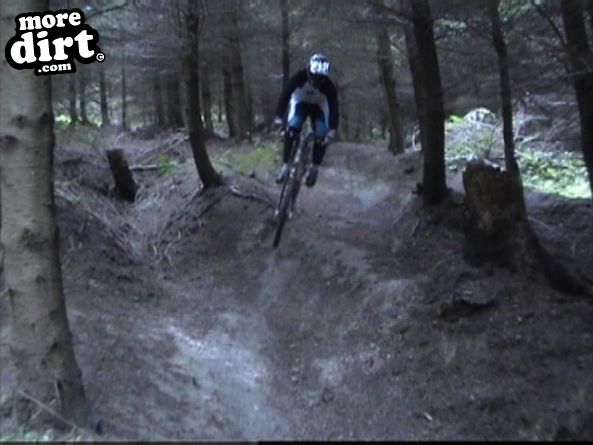 Bringewood DH