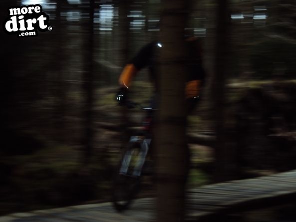 Altura Trail - Whinlatter Forest