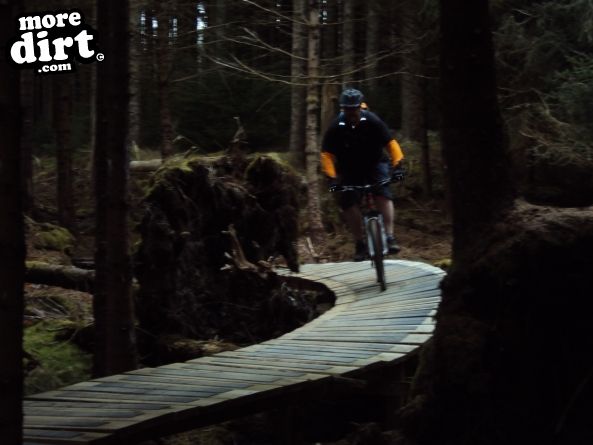 Altura Trail - Whinlatter Forest