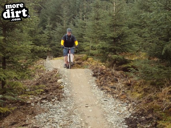 Altura Trail - Whinlatter Forest