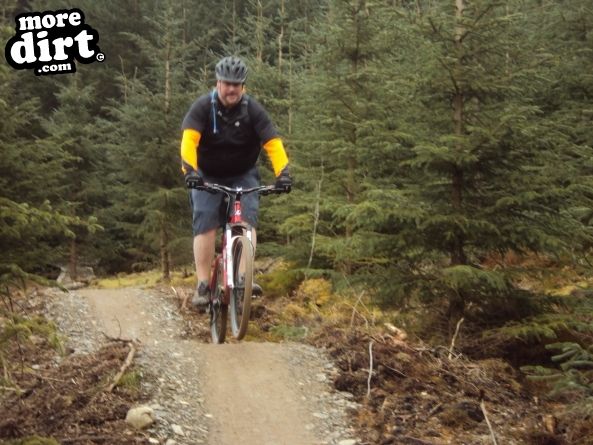 Altura Trail - Whinlatter Forest