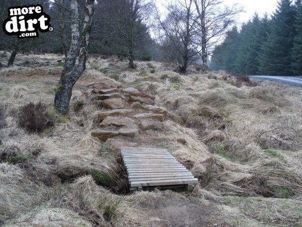 Up and Over Trail - Kielder Forest