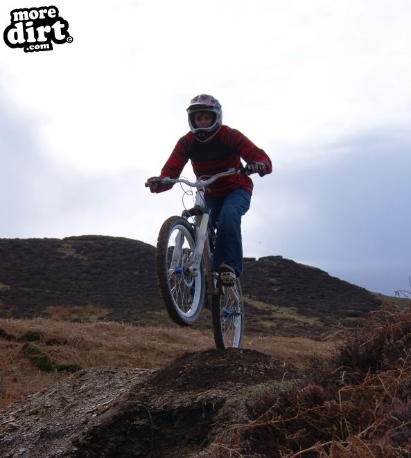 Carlton Bank DH