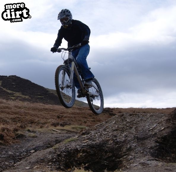 Carlton Bank DH