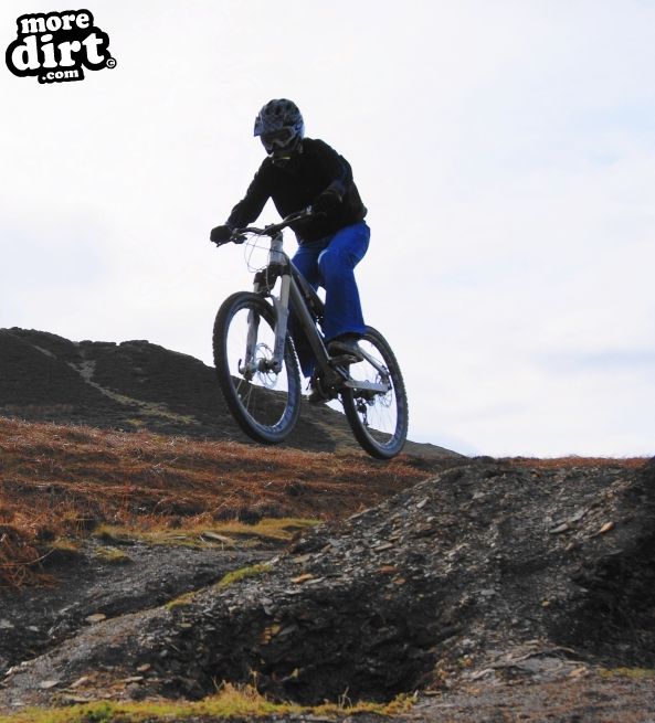 Carlton Bank DH