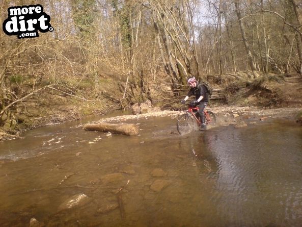 Wyre Forest Mountain Bike Trails