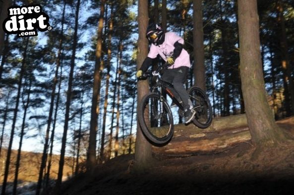Kinver Freeride Park