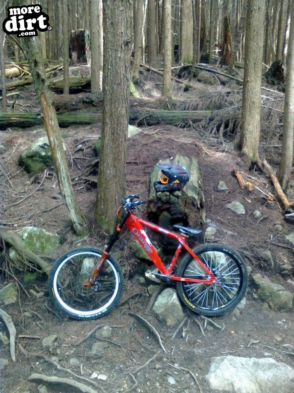 Prepping for Ned's DH 2010