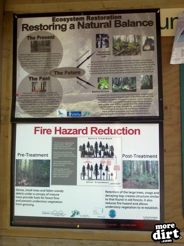 Hazardous tree removal...