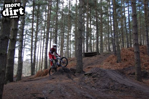 Kinver Freeride Park