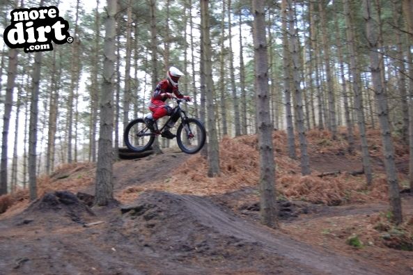 Kinver Freeride Park
