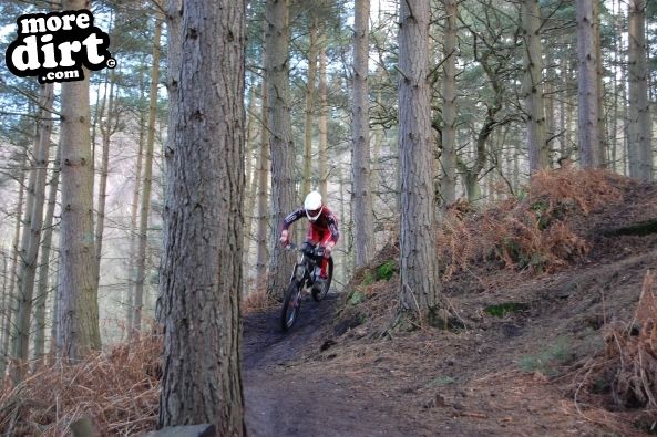Kinver Freeride Park