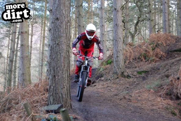 Kinver Freeride Park