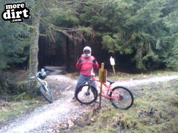 Gisburn Forest Mountain Bike Trails