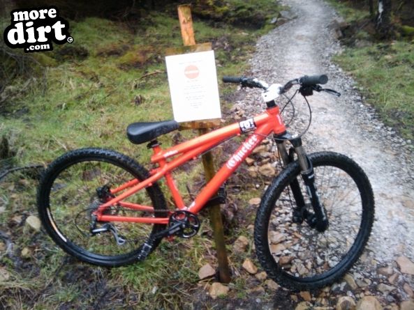 Gisburn Forest Mountain Bike Trails