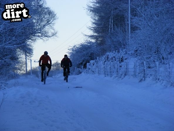 Blue Trail - Coed Llandegla Forest