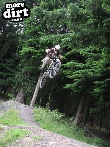 Downhill Trails - Forest of Dean