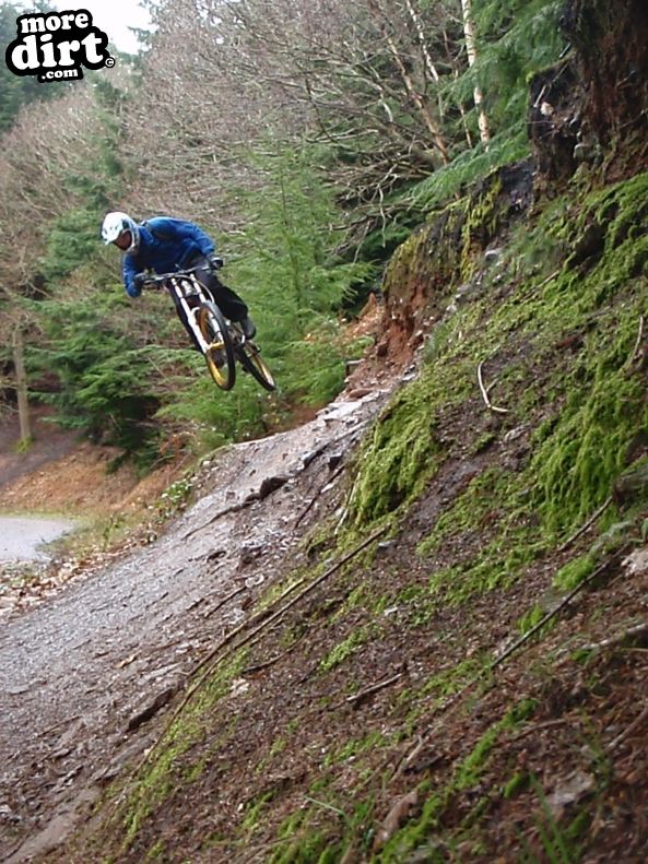 Downhill Trails - Forest of Dean