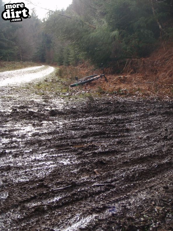 Freeminer Trail - The Forest of Dean