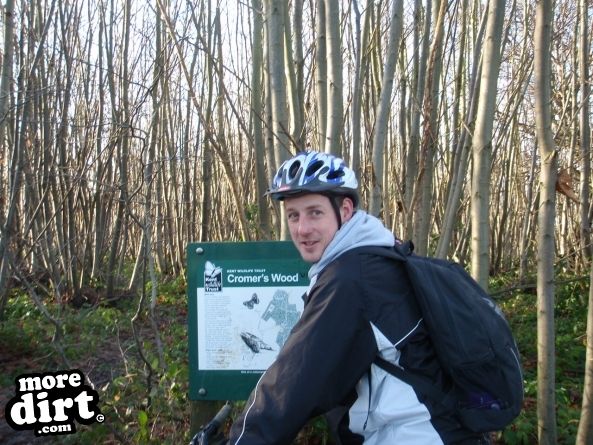 Cromers Wood