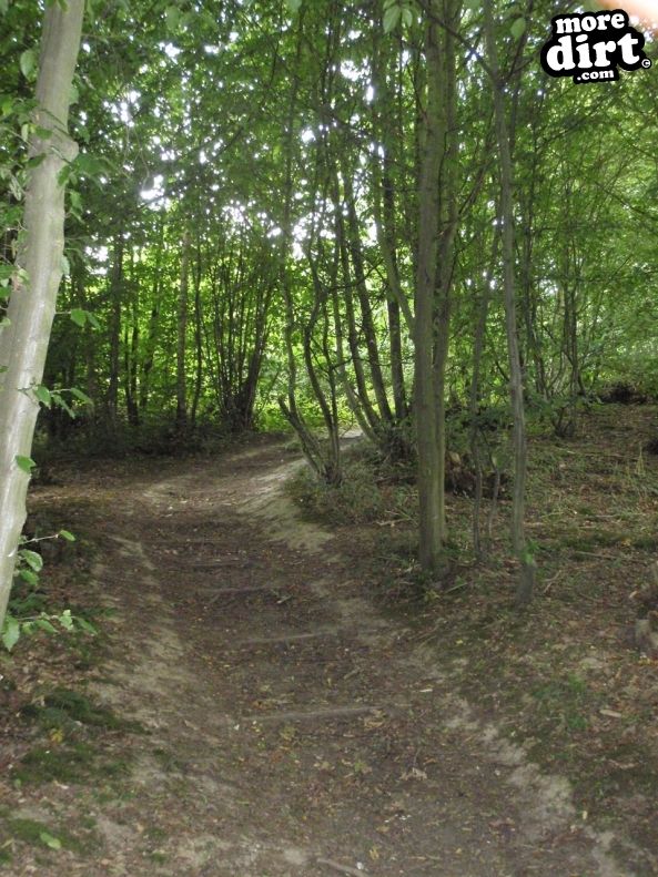 Cromers Wood