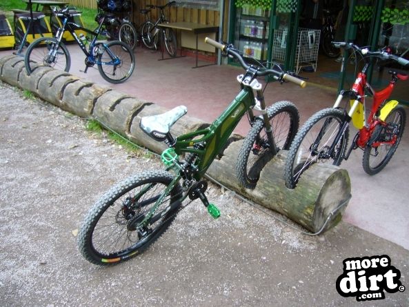 Follow the Dog Trail - Cannock Chase