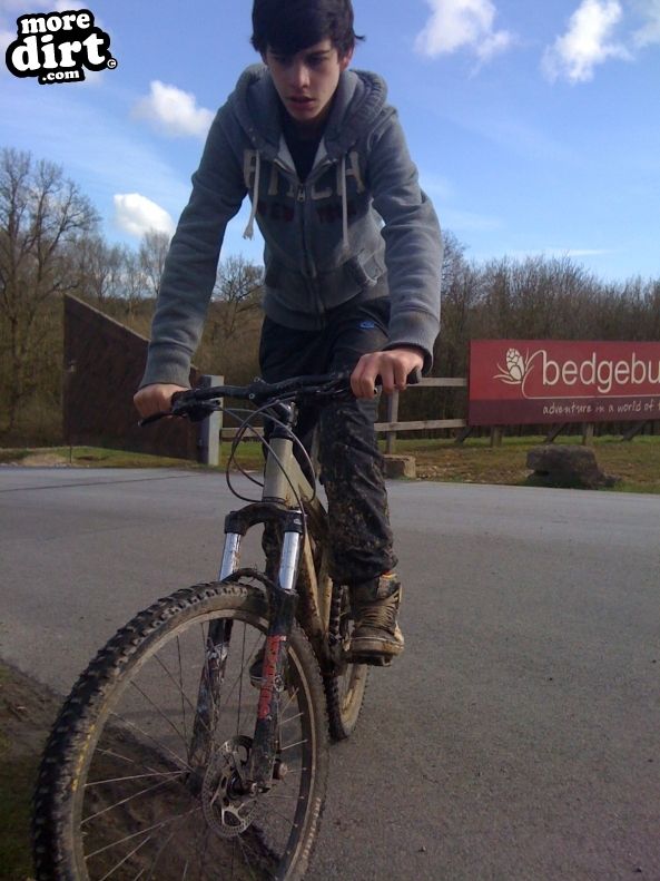 Bedgebury Freeride Area