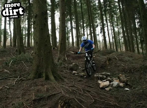 A bit of DH practice with MoreDirt team rider Greg