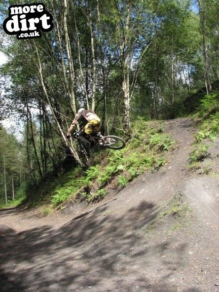 Downhill Trails - Forest of Dean