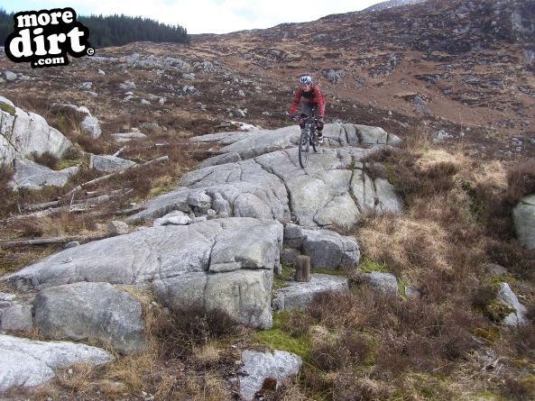 Black Craigs Trail - Kirroughtree