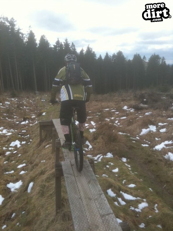 Newcastleton Mountain Bike Trails