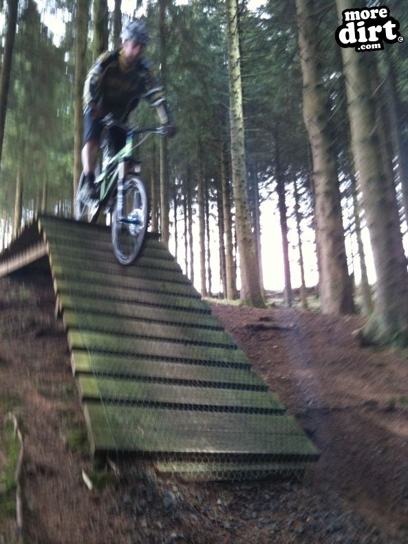 Newcastleton Mountain Bike Trails