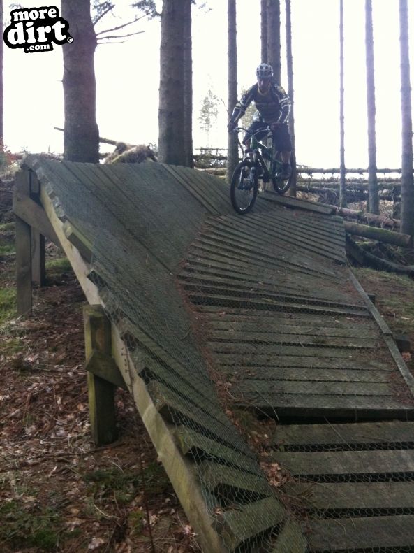 Newcastleton Mountain Bike Trails