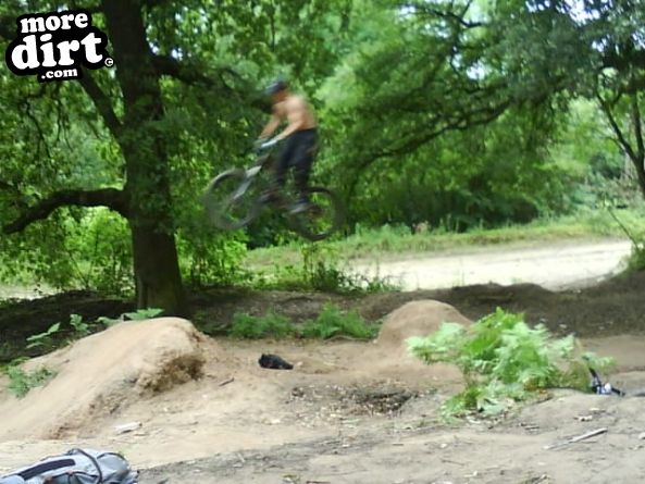 Baggeridge Park Dirt Jumps