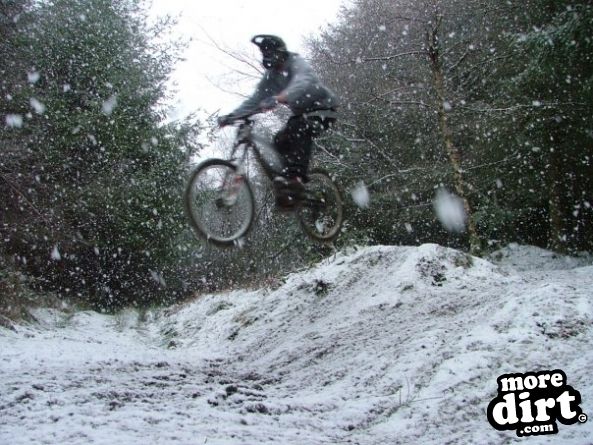 Bringewood DH