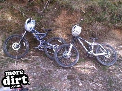 Raven Trail - Brechfa