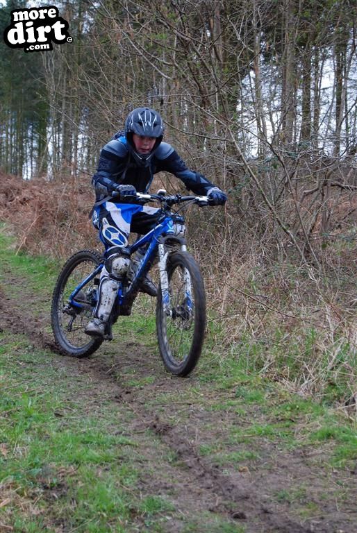 Bourne Wood Cycle Trails