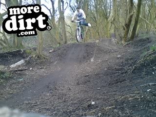 Marsh Jumps