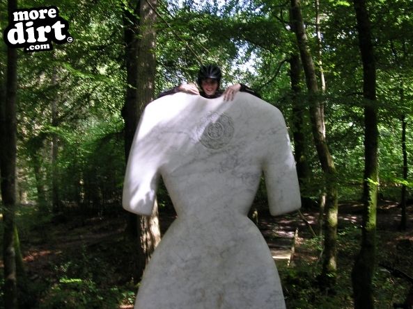 Mabie Forest - Skills Area