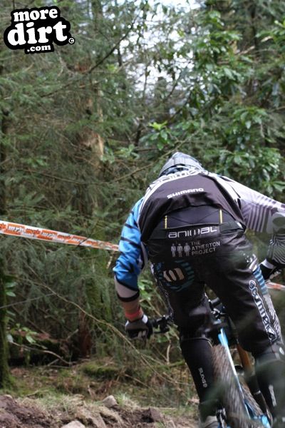 Rheola Downhill Mountain Bike Trail