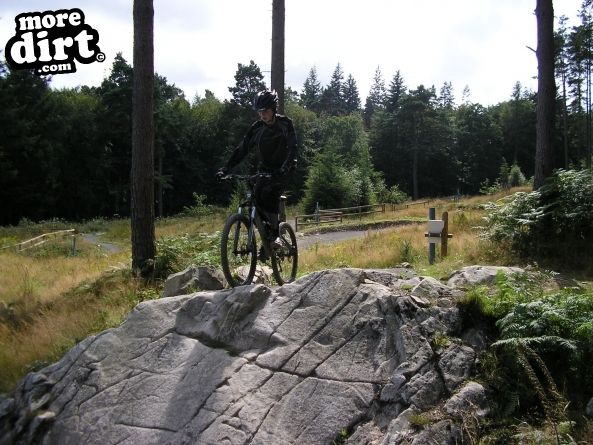 Mabie Forest - Skills Area