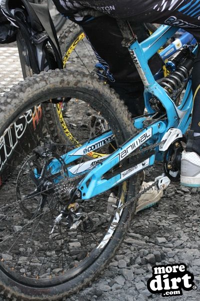 Rheola Downhill Mountain Bike Trail