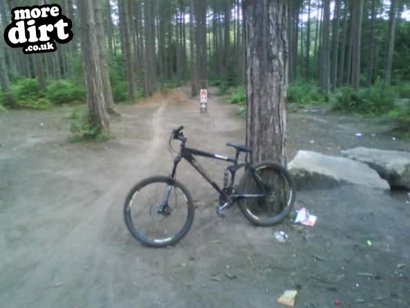 Sherwood Pines Bike Park