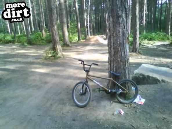 Sherwood Pines Bike Park