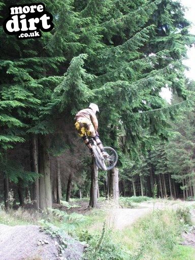 Downhill Trails - Forest of Dean