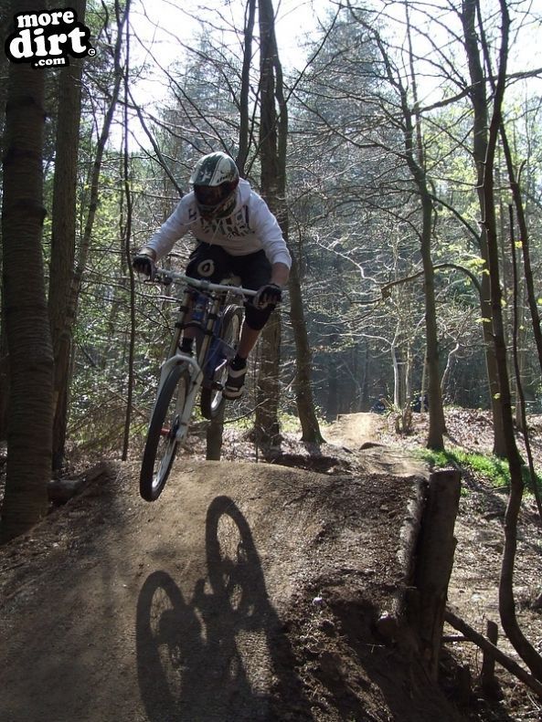Ribbesford Bike Park
